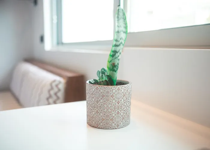 Апартаменты Granny's House *