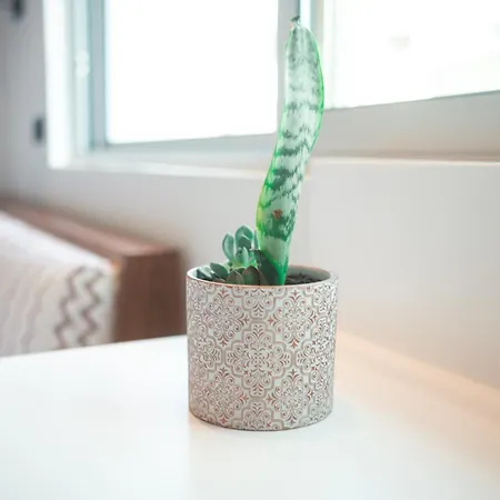 Apartament Granny's House *